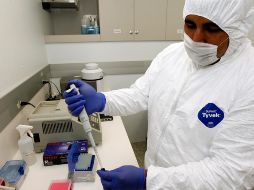 En septiembre, un brote de gripe aviar amenazó la industria avícola de 115 millones de dólares de Belice. EL INFORMADOR/ARCHIVO