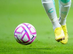 Algunos de los partidos podrán ser vistos en televisión de paga por el sistema Sky, y otros en la señal de Televisa en señal abierta o restringida. IMAGO7