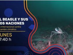 ESPECIAL/CAPTURA DE VIDEO