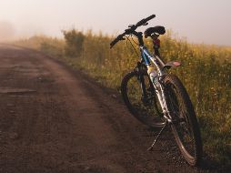 Conoce los destinos nacionales imperdibles para recorrer en bicicleta. ESPECIAL/Photo by Jacek Dylag on Unsplash.