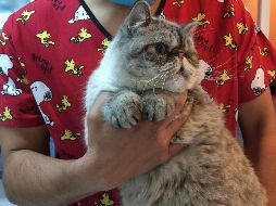 EL INFORMADOR/ARCHIVO