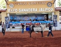 La Expo Ganadera tendrá abiertas sus puertas hasta el 13 de noviembre. EL INFORMADOR/ E. GÓMEZ