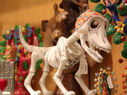 La noche del 27 de octubre, que no es una fecha oficial, pero ha sido propuesta por activistas en favor de los derechos de los animales. EFE / ARCHIVO