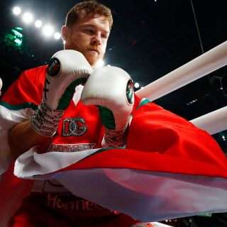 ¿Cuándo volverá a pelear el "Canelo"? Ya fue operado de la mano