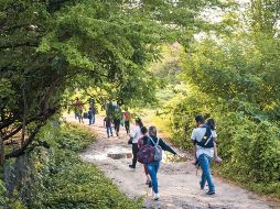 Un estudio realizado por el INEI reveló que la mayoría de ellos se encuentra trabajando en el extranjero y no tienen intención de retornar a su país de origen. SUN/ ARCHIVO