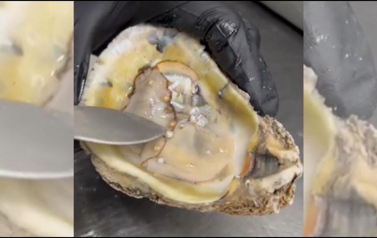 Un hallazgo que no le ocurre a cualquiera, fueron perlas lo que encontró este hombre dentro del molusco. TIKTOK/CAPTURA DE VIDEO