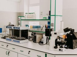 De los 14 pacientes positivos de viruela símica, diez son residentes de la ciudad de Mazatlán y el resto de Culiacán. ESPECIAL/Foto de Trnava University en Unsplash