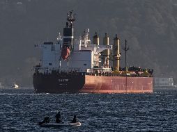 Siete buques de carga transportan un total de 290 mil 102 toneladas de cereales y productos agrícolas por el Mar Negro. AFP/O. Kose
