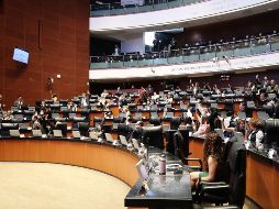 Con 63 votos en contra de 48 a favor se desechó la propuesta de la senadora del PRI, Beatriz Paredes que argumentaba que en la Cámara de Diputados no se cumplió con el procedimiento parlamentario que establece la ley por lo que existió un fraude procedimental. EFE / ARCHIVO