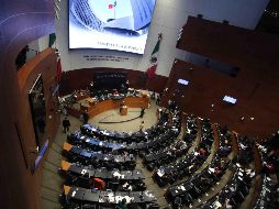 La iniciativa tiene como objetivo garantizar la seguridad, privacidad, dignidad y el bienestar tanto físico como psicológico de las víctimas y los afectados. SUN / ARCHIVO