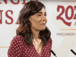 Elizabeth García Vilchis declara que 