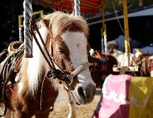 Con más de 171 stands comerciales, y varias actividades interesantes, la Expo Ganadera tendrá sus puertas abiertas hasta el 13 de noviembre. EL INFORMADOR/C. Zepeda