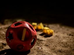 Los niños eran agredidos por sus compañeros, por lo que pidieron ayuda. EL INFORMADOR/ARCHIVO