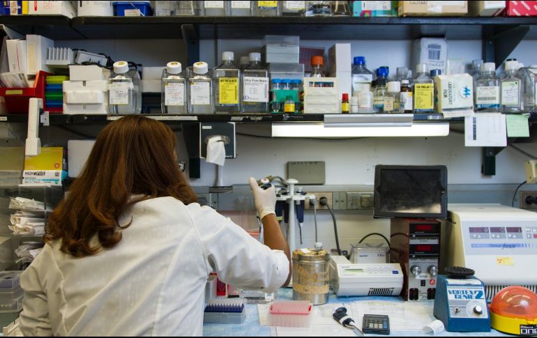 Hasta ahora, se han identificado siete defunciones: seis hombres y una mujer, aunque no en todas se ha determinado una causalidad directa. ESPECIAL/Foto de National Cancer Institute en Unsplash