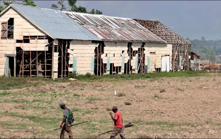 Las pérdidas materiales por la tormenta tropical Julia, se estiman en 367.8 millones de dólares. EFE / E. Mastrascusa