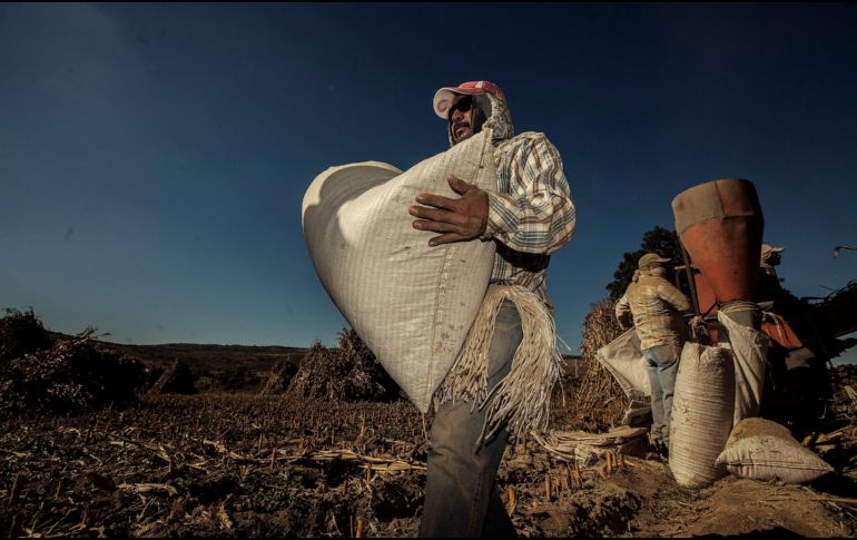 Las restricciones se dan en un contexto de incertidumbre económica agravada por la pandemia de COVID-19, la guerra en Ucrania y la crisis de seguridad alimentaria. EL INFORMADOR/ARCHIVO