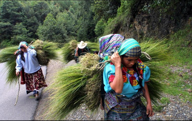 Guatemala es un país con más de 7 millones de pobladores indígenas. AFP / ARCHIVO