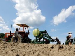 Se cree que los detenidos han cometido crímenes de asociación criminal, tráfico de personas, blanqueo de capitales y falsificación de documentos. AP/Archivo