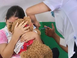 El esquema de la vacuna exige tres dosis, con un intervalo de 14 días entre cada una. SUN / ARCHIVO