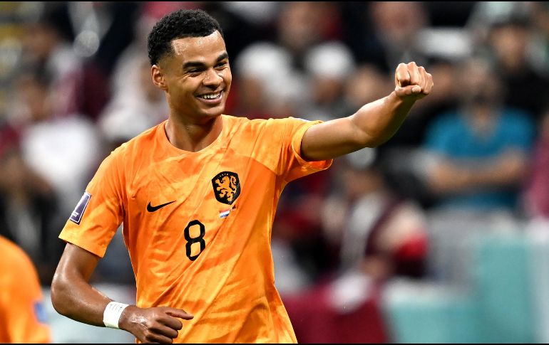 El primer tanto de la Naranja Mecánica llegó al minuto 26 por conducto Cody Gakpo. EFE / N. Thekkayil