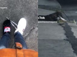 La joven de nombre María Guadalupe explicó en un video publicado en su cuenta de TikTok que todo comenzó cuando se acercó al perrito para saludarlo, sin embargo jamás imaginó que le quitaría su tenis. ESPECIAL
