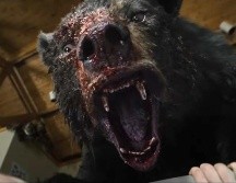 ¿De qué trata "Oso intoxicado", la polémica película de Elizabeth Banks?