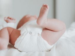 Tras extirparle la cola a los dos meses de nacida, la pequeña se desarrolló con normalidad. ESPECIAL/Foto de zelle duda en Unsplash