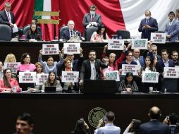 Los diputados de Morena, del PVEM y del PT advirtieron que el 