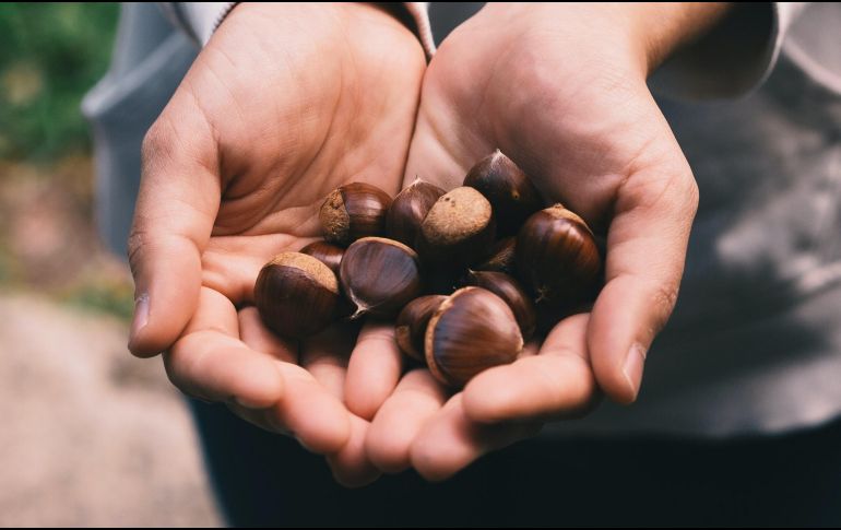 El contenido de grasa de las castañas es mucho menor al que contienen el resto de los frutos secos, lo que las convierte en una opción más saludable. ESPECIAL/Foto de Jade Seok en Unsplash