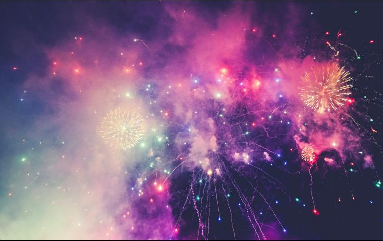 Los animalitos que más sufren son los que permanecen amarrados en el patio o en la azotea. ESPECIAL/Foto de Mike Enerio en Unsplash