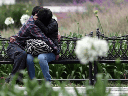 Multas, sanciones y trabajos comunitarios son los 