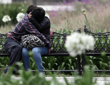 Multas, sanciones y trabajos comunitarios son los 