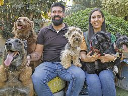 El amor por los perros llevó a Emmanuel Díaz López y a Paty Castillo a abrir su negocio. EL INFORMADOR/ C. Zepeda