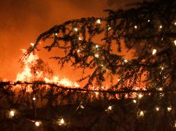 Con la saturación de enchufes se podrían provocar una sobrecarga eléctrica y, con ello, tener el riesgo de comenzar un incendio. AP / ARCHIVO