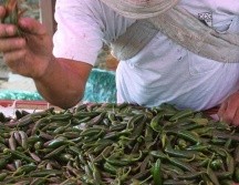 De acuerdo con la Alianza Nacional de Pequeños Comerciantes el chocolate en polvo, el chile serrano, chile jalapeño, zanahoria y limón fueron los productos con más alza. EL INFORMADOR / ARCHIVO