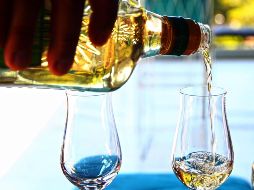 En el caso del tequila, mientras en 2019 se exportaron mil 964 millones de dólares, de enero a octubre de 2022 las ventas al exterior sumaron los 3 mil 635 millones de dólares. EL INFORMADOR / ARCHIVO