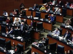 Mónica Balboa, a nombre de las comisiones de Gobernación y Estudios Legislativos Segunda, expuso en tribuna que a la minuta enviada por la Cámara de Diputados se le realizaron diversas modificaciones al texto normativo y algunas otras de técnica legislativa para hacerla más precisa. SUN / D. Sánchez