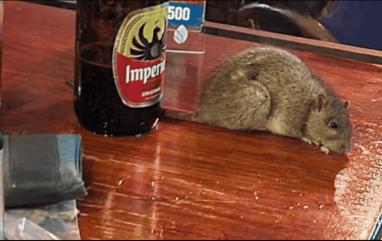 El incidente tuvo lugar en un bar en San Pedro, Costa Rica. TWITTER / @Marioriv3