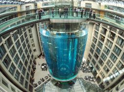 La gigantesca pecera, que contenía un millón de litros de agua, estaba ubicada en el vestíbulo del hotel Radisson Blu, en la turística zona de la catedral y de la Isla de los Museos. EFE / J. Carstensen