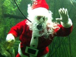 Santa Claus estará nadando en el Zoológico de Guadalajara. ESPECIAL/Zoológico de Guadalajara