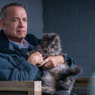 “Mi vecino gruñón” se estrena hoy en la cartelera de cine de la ciudad