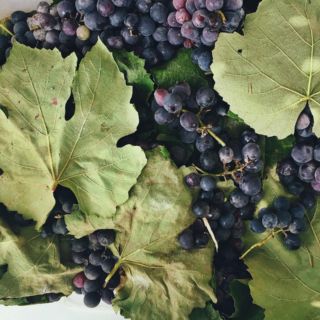 ¡Anota! 10 rituales para recibir el 2023 con prosperidad