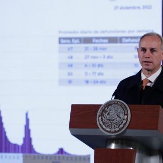 Confirma López-Gatell estado crítico de niños con rabia