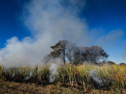 Se presume que el 30.24% de los incendios son por actividades ilícitas. Twitter/@SemadetJal