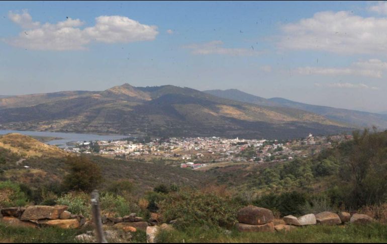 Una opción es la que ofrece Green Forest Tours, una compañía que realiza tours guiados con hermosas vistas panorámicas. EL INFORMADOR / A. Camacho