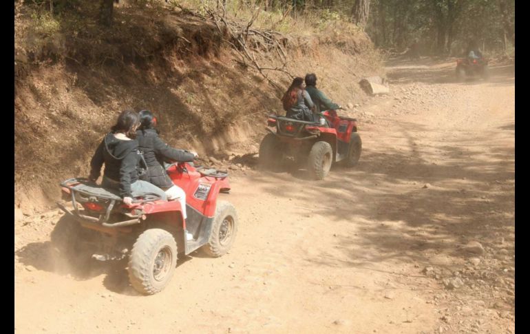 En la ruta 4 se podrá disfrutar de las únicas tirolesas en las que se vuela entre árboles. EL INFORMADOR / A. Camacho