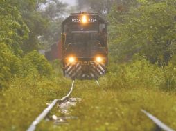 El Presidente supervisó la obra del Tren Maya.SUN/ARCHIVO