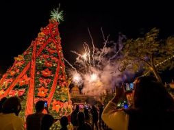 El Festival de Invierno resultó en un éxito económico a nivel estatal en su duración de 32 días. ESPECIAL