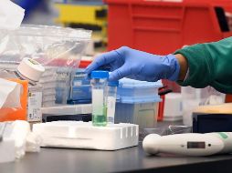 Los análisis revelaron que ambos productos contienen cantidades 