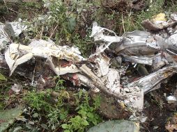 El aparato tiene seis asientos, pero sólo volaban el piloto y un pasajero. NTX/ARCHIVO